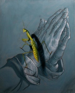 "Dürer's Mantis" by Patrick Nevins Oil Painting, Praying Mantis, Praying Hands