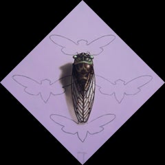 "Violet Cicada" (2024) par Patrick Nevins, peinture à l'huile originale sur panneau