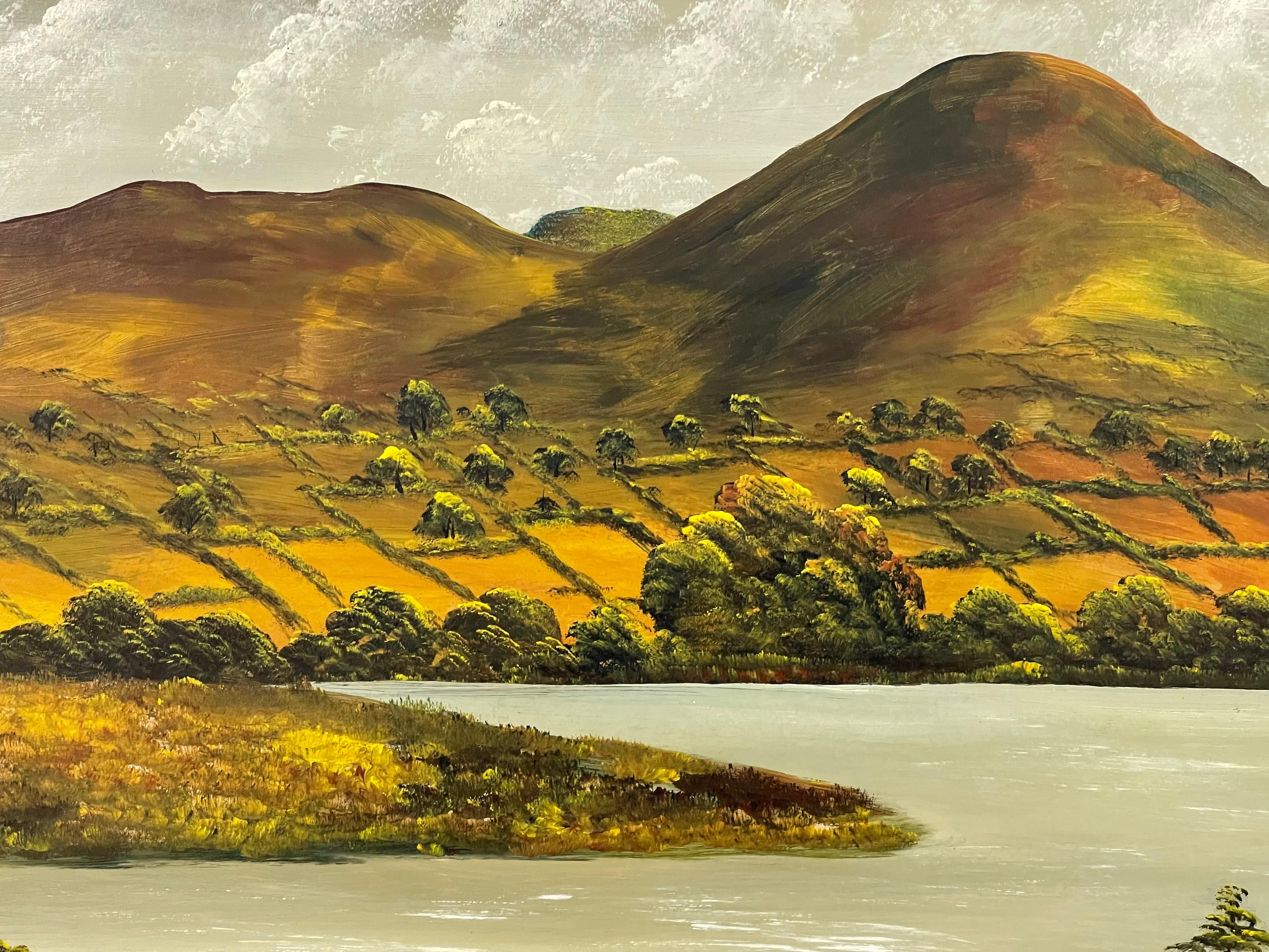 Oil Painting of Camlough Lake in Northern Ireland by 20th Century Modern Artist For Sale 3