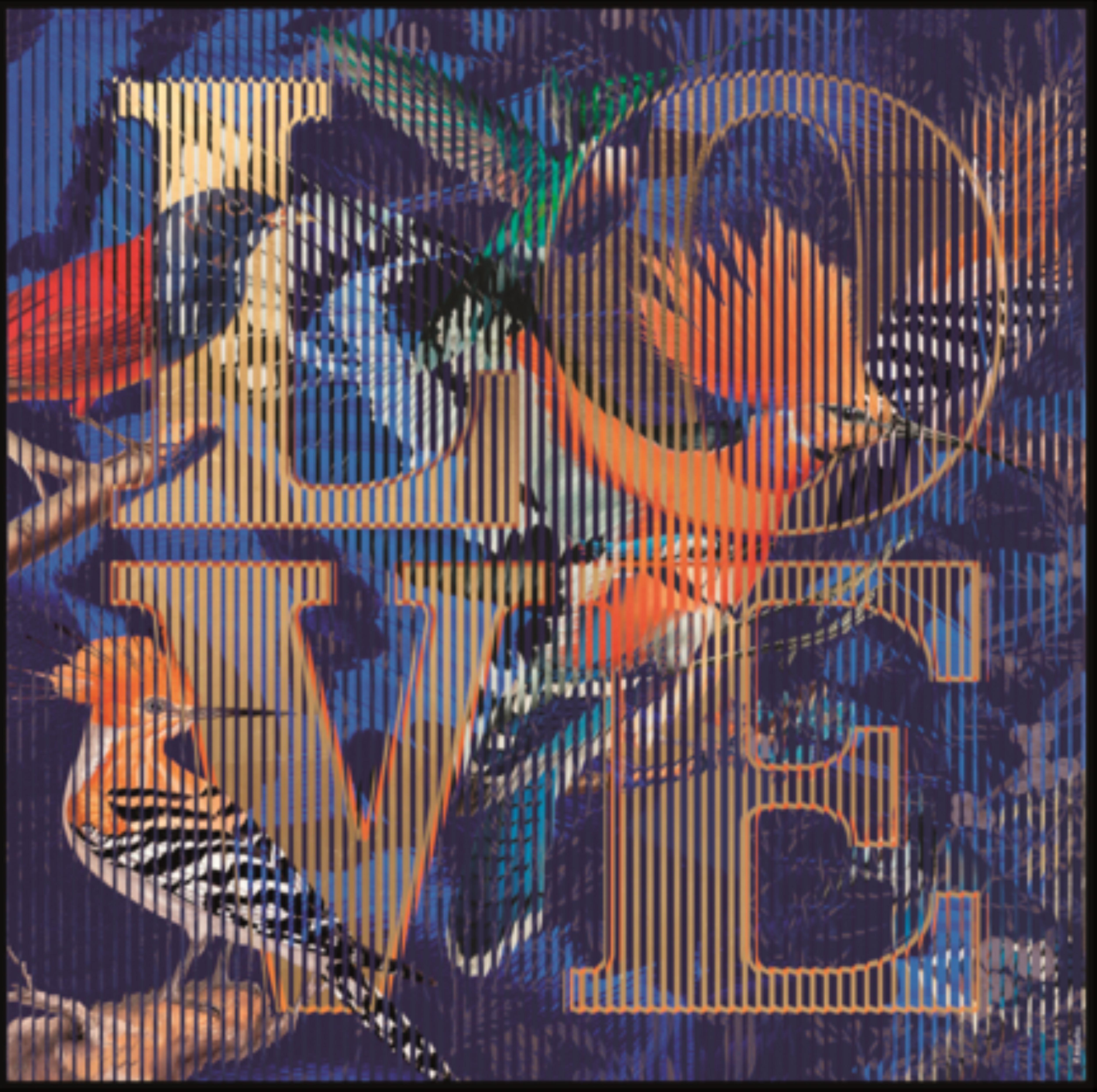 Des oiseaux partout - Op Art Mixed Media Art par Patrick Rubinstein