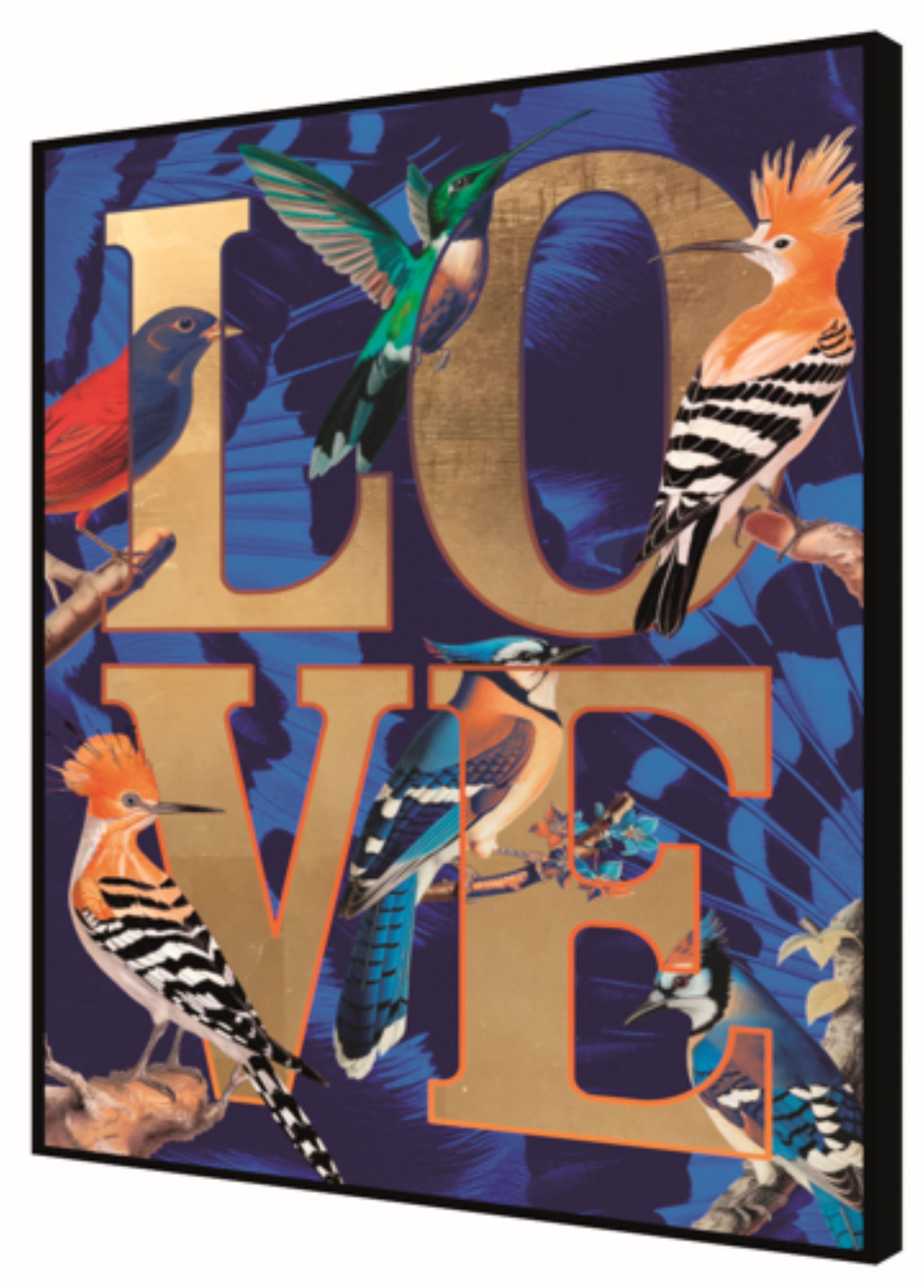 Des oiseaux partout en vente 1