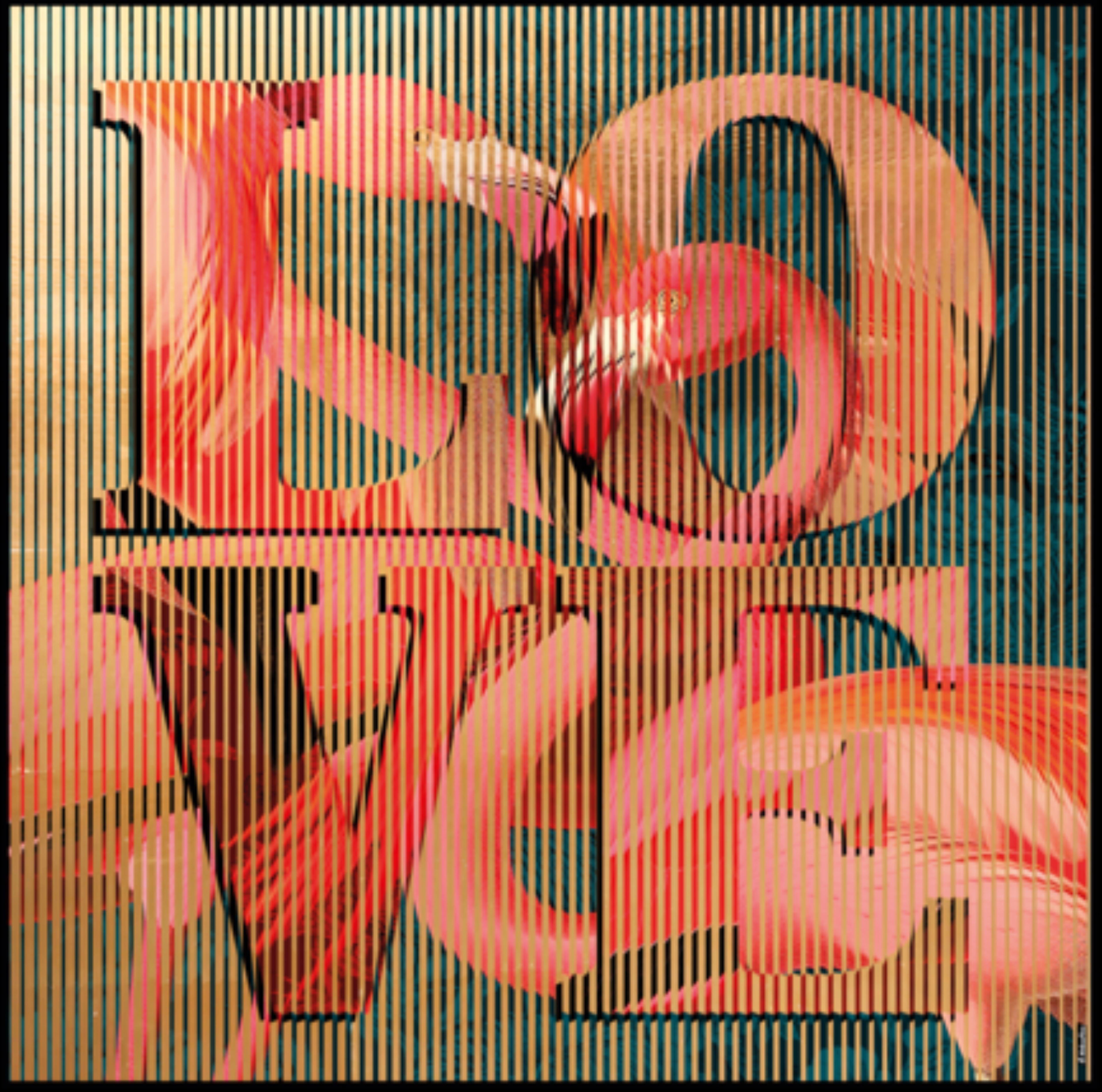 Flamingo Flamenco - Op Art Mixed Media Art par Patrick Rubinstein