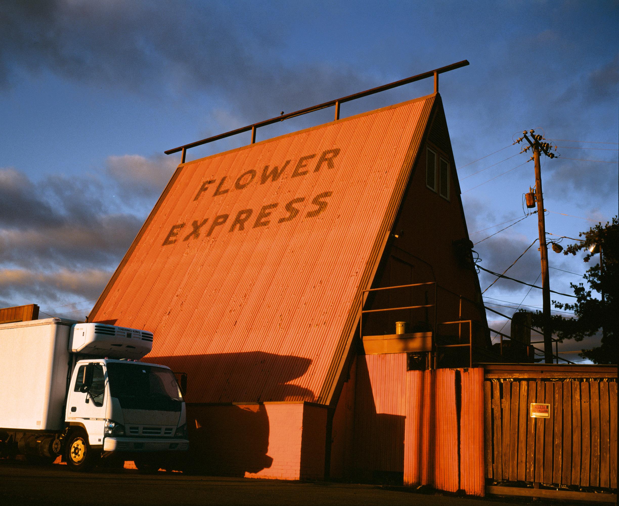 Patrick Sansone, Flower Express, 2022, Lambda C Print, Ed 1/10, Photography