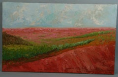 Feld mit Sommer-Wildblumen