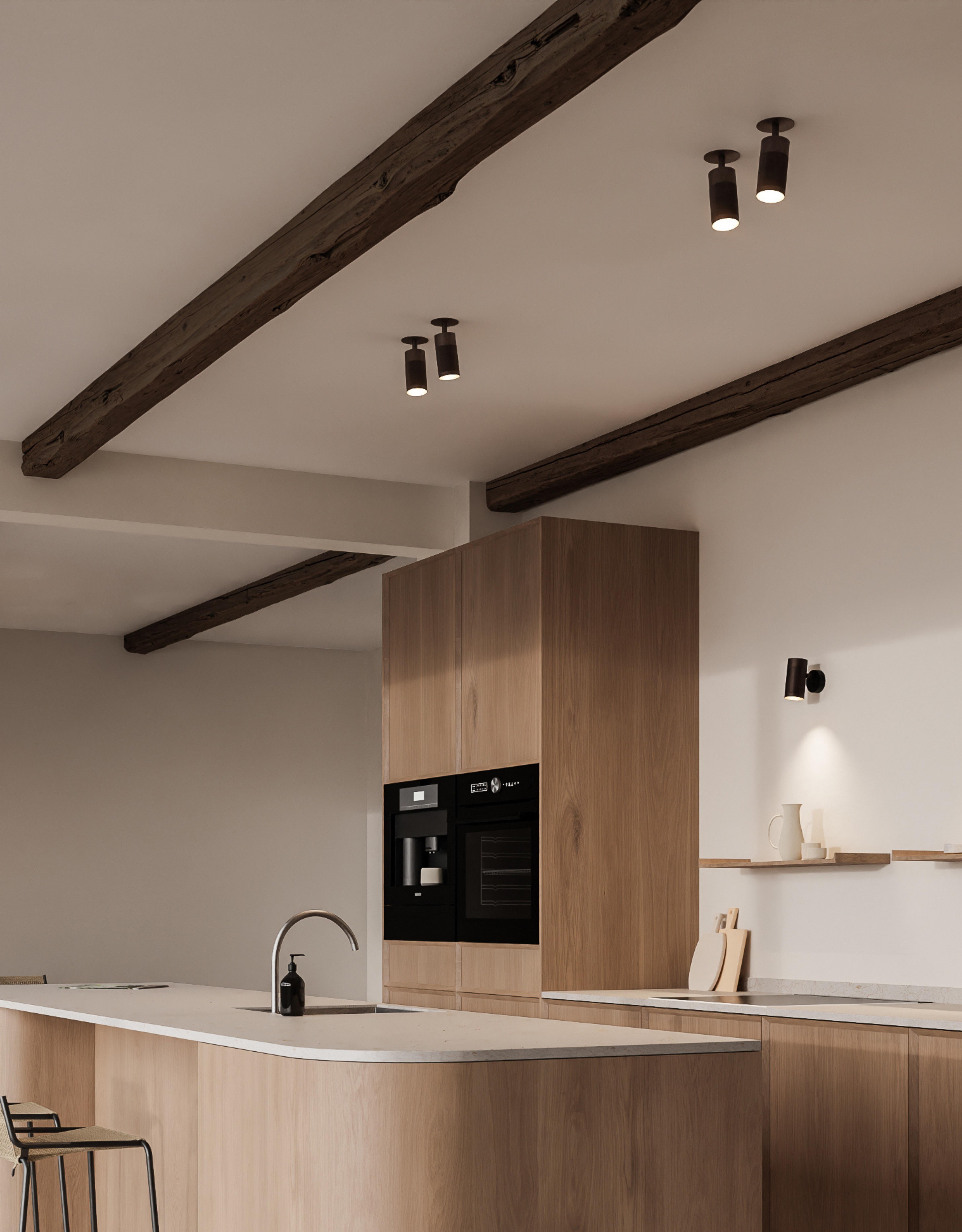 Contemporary Patrone Canopy Ceiling Light by Thorup Copenhagen For Sale
