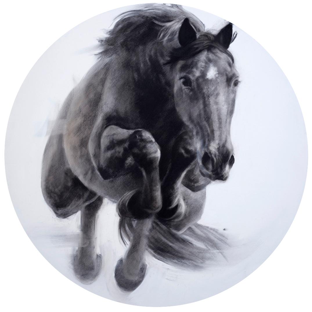  Eclipse, Jumping Horse Drawing, Charcoal, gesso and acrylic on circular board - Art by Patsy McArthur