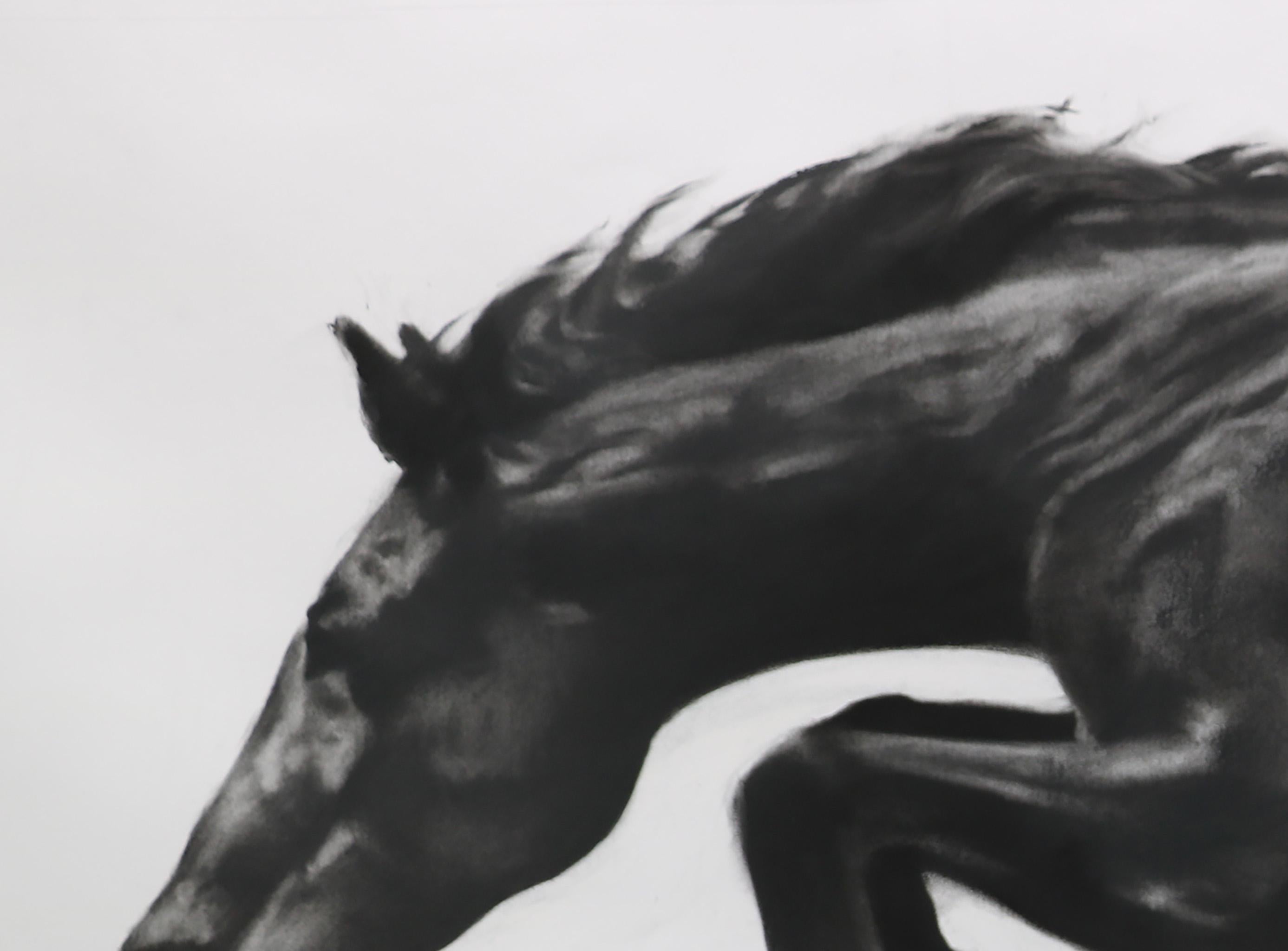 This is a dynamic and unique charcoal on paper, framed on a beautiful custom white box frame - all archival materials. The painting perfectly captures the movement of the horse and the monochromatic palette makes this a stunning contemporary