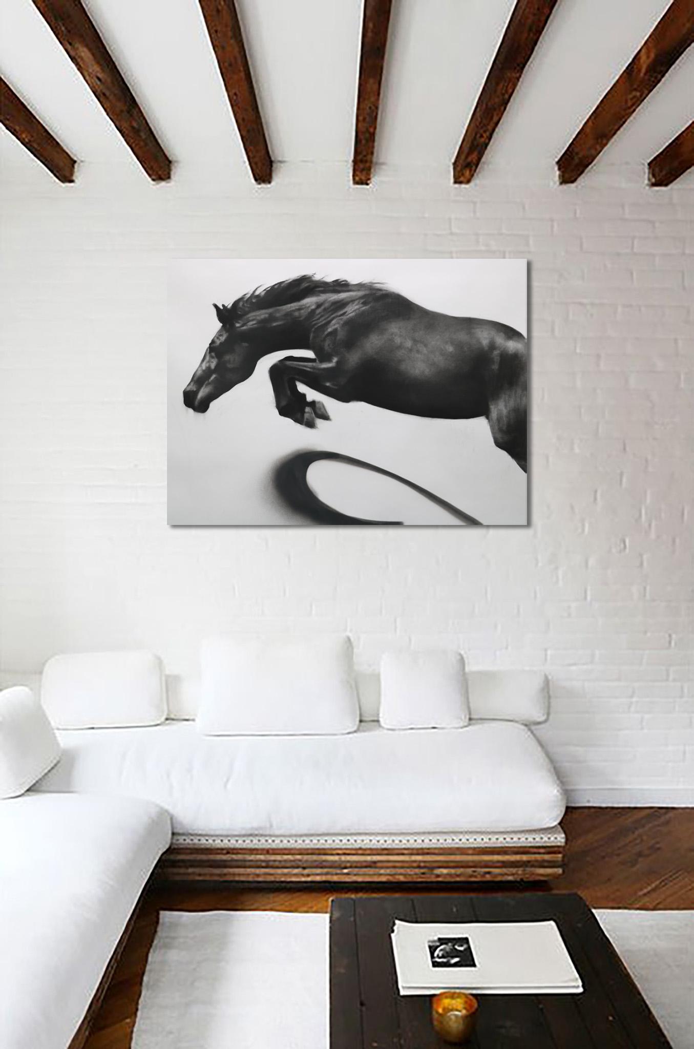 Momentum, dynamische realistische Pferdezeichnung, Kohle auf Papier – weißer Kastenrahmen (Realismus), Painting, von Patsy McArthur