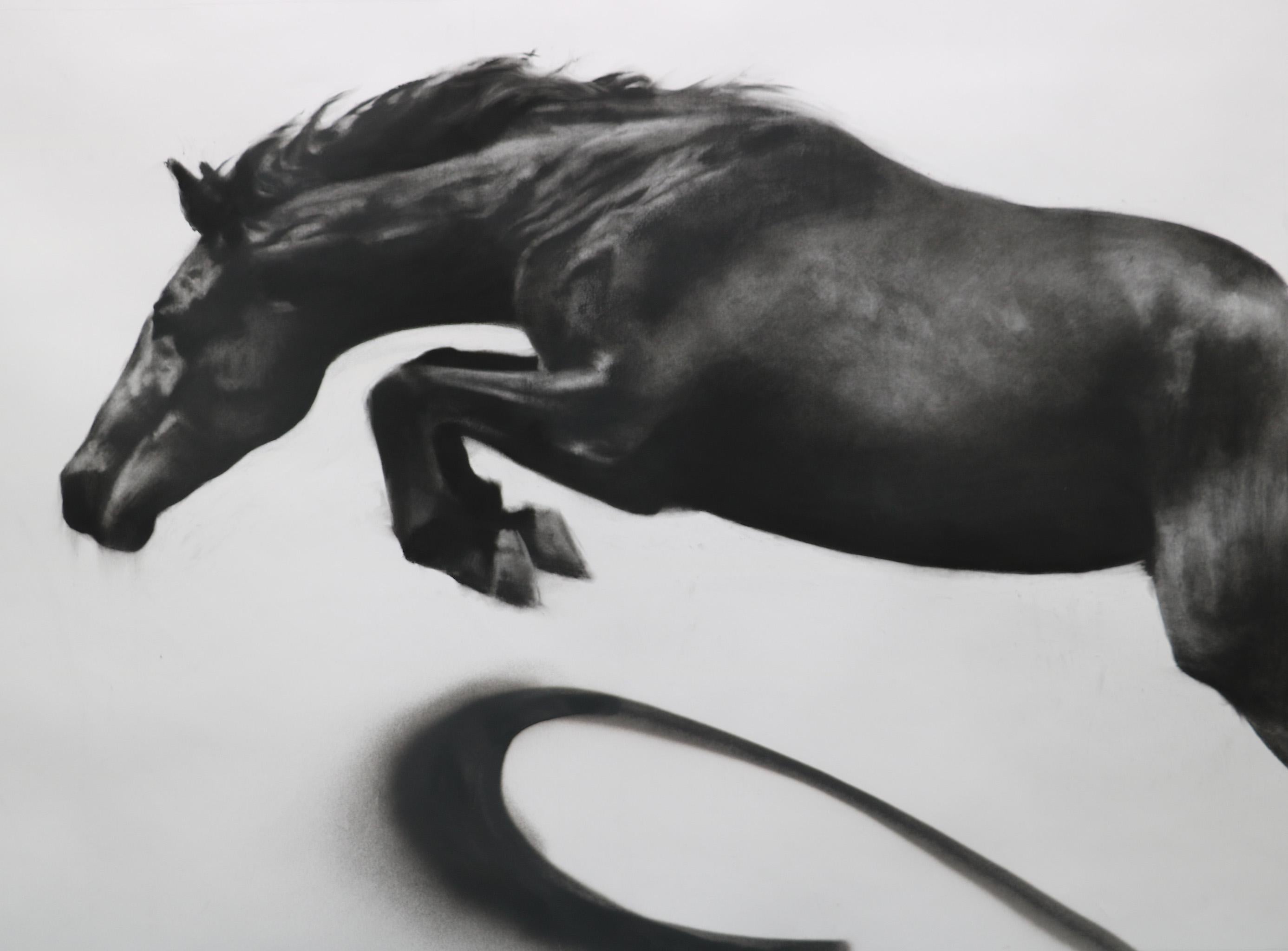 Patsy McArthur Animal Painting – Momentum, dynamische realistische Pferdezeichnung, Kohle auf Papier – weißer Kastenrahmen