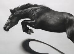 Momentum, dynamic realistic Horse drawing, charcoal on paper - white box frame