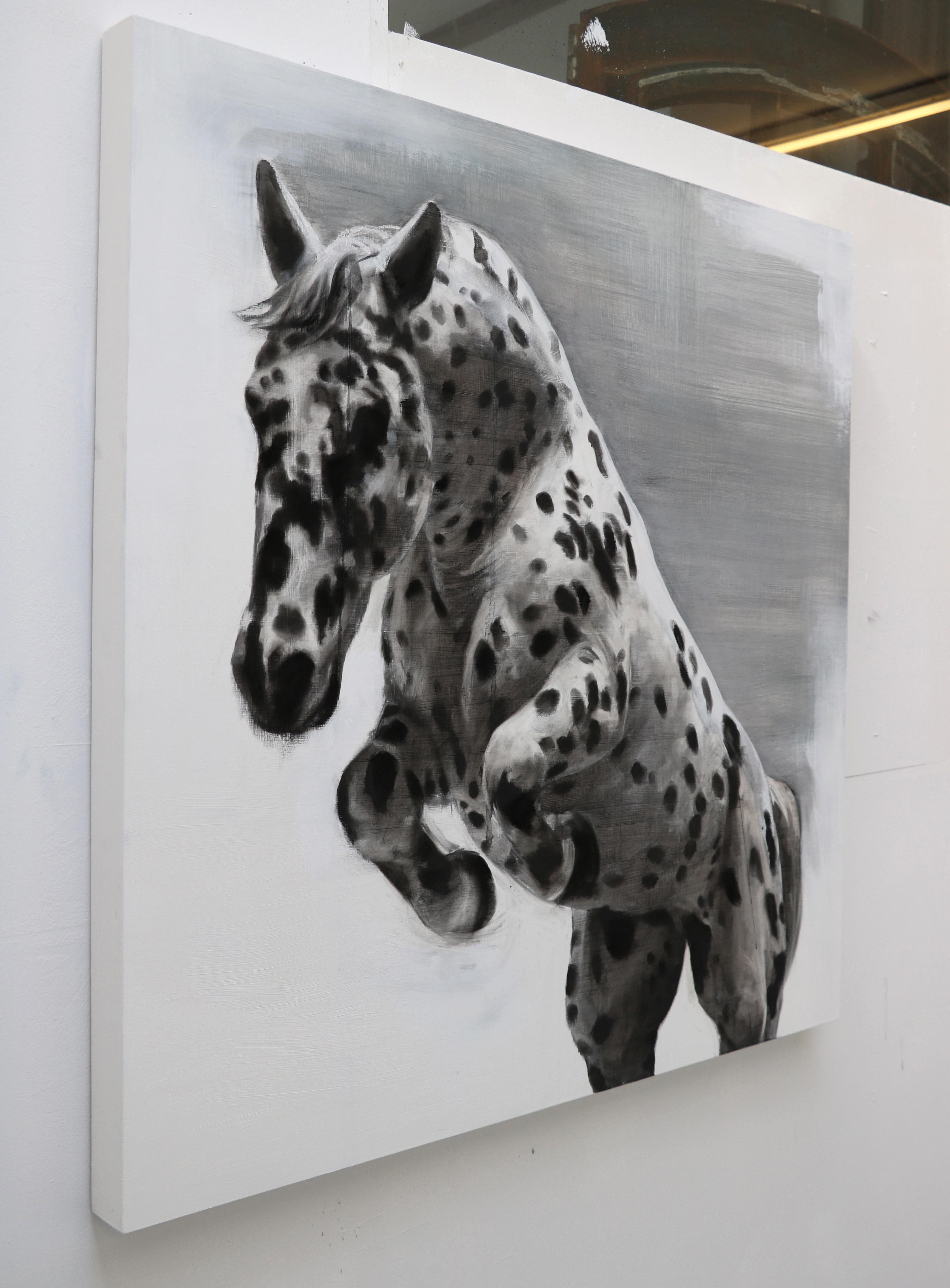  The Mesmerist, Spotted Horse Drawing, Charcoal, gesso and acrylic on wood board - Art by Patsy McArthur
