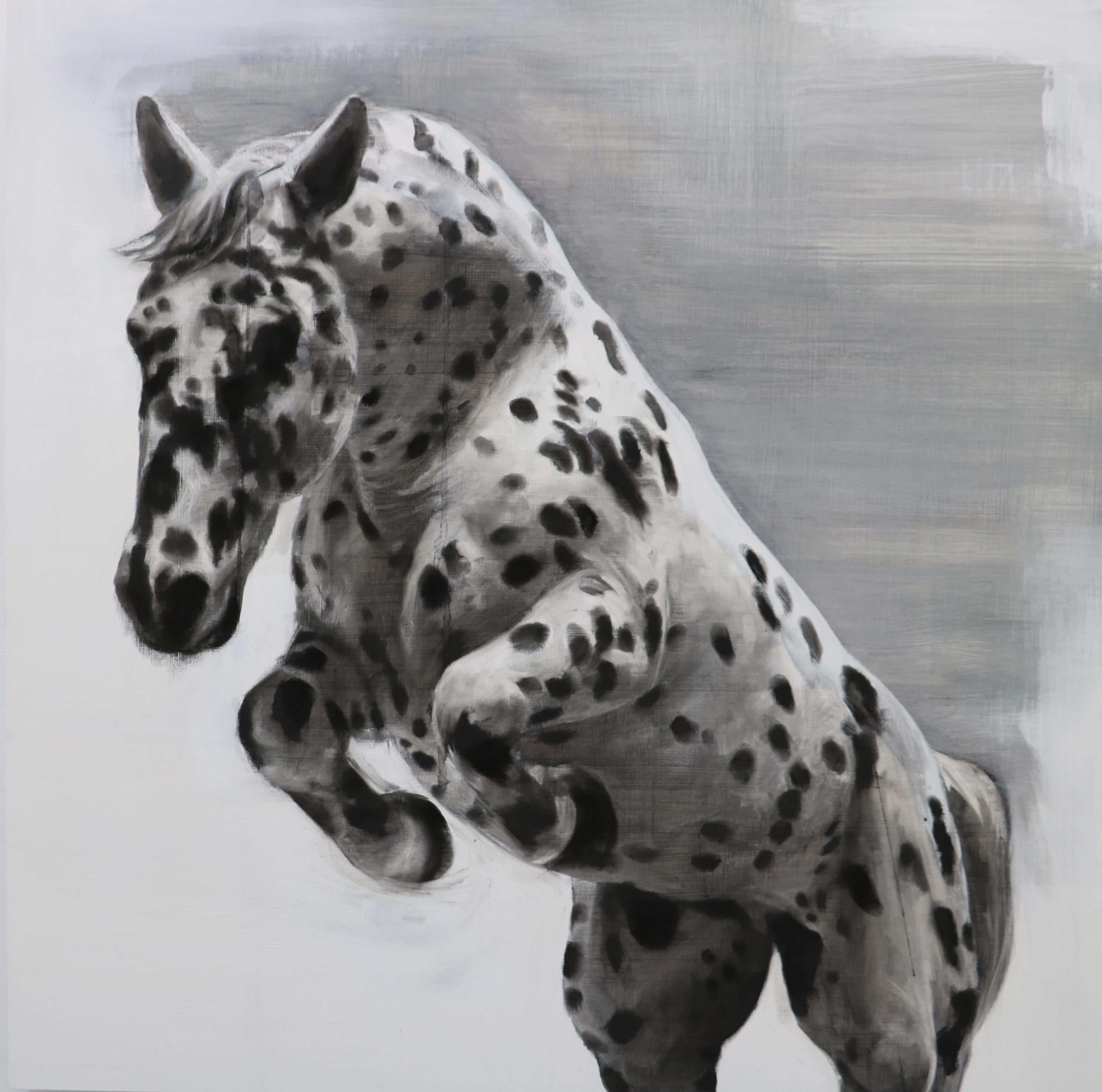 Patsy McArthur Animal Art -  The Mesmerist, Spotted Horse Drawing, Charcoal, gesso and acrylic on wood board