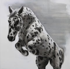 The Mesmerist, Spotted Horse Drawing, Charcoal, gesso and acrylic on wood board