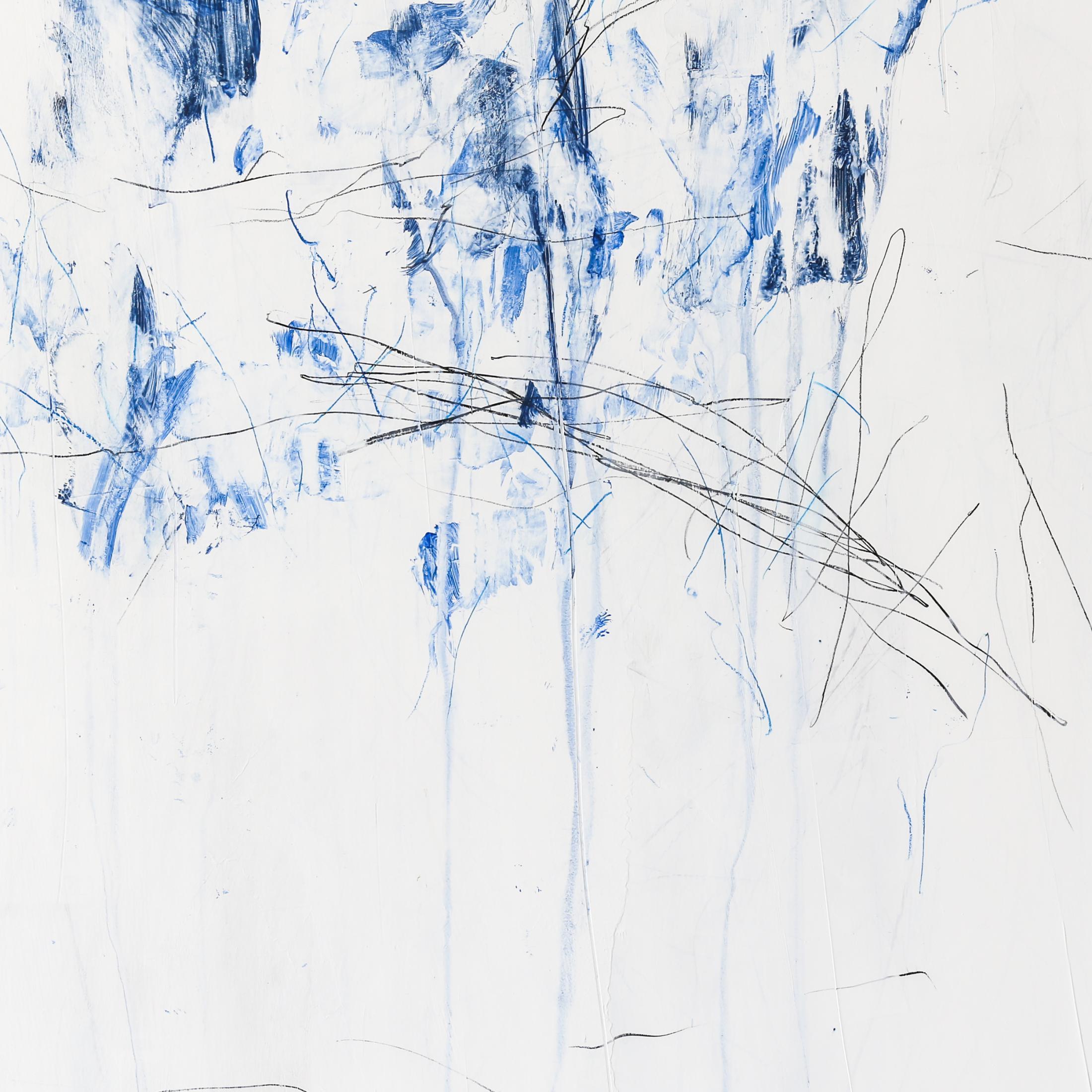 PATTI PARSONS
Briefly Scattered Blue (Grass)
• ink stick, china marker, acrylic paint on wood panel
30.00w x 30.00h x 2.00d in
$4,500.00From the perspective of a writer and a painter, Patti finds the intrigue of tangles and the appearance of chaos