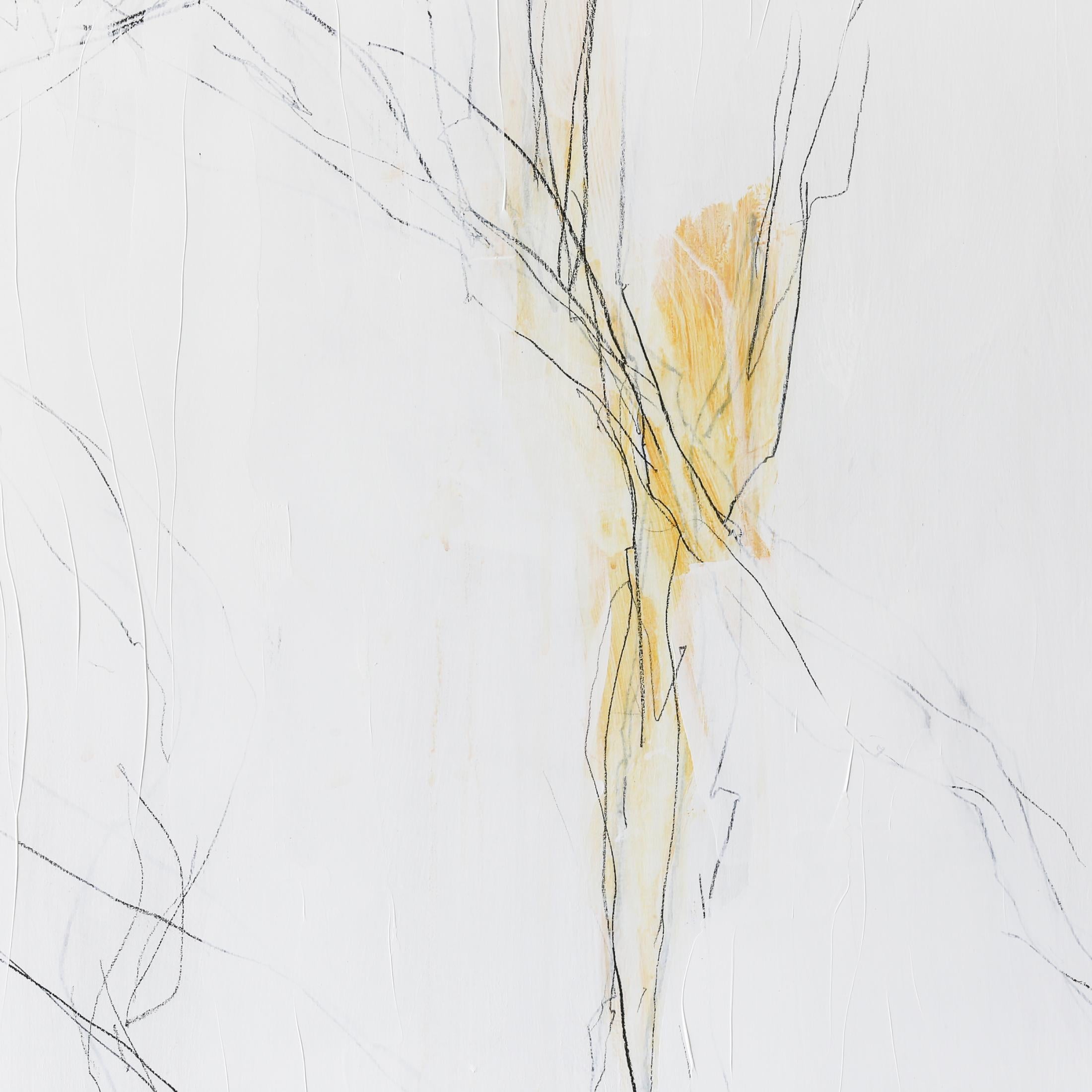 PATTI PARSONS
Stem Study
• ink stick, china marker, acrylic paint on wood panel
36.00w x 48.00h x 2.00d in
$8,700.00
From the perspective of a writer and a painter, Patti finds the intrigue of tangles and the appearance of chaos to be an accurate