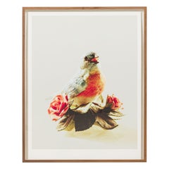 Patti Smith American Contemporary Objects of Life Series « China Bird 1999 »