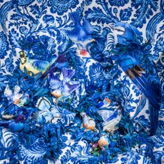 Blue Blue Birds