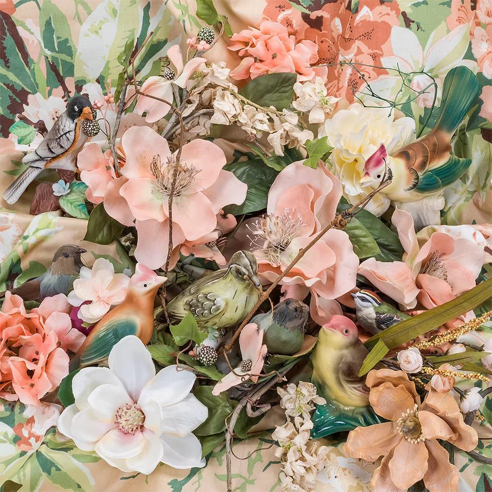 Peachy, de la série Flora and Fauxna - Still Life, Birds, Flowers, Floral