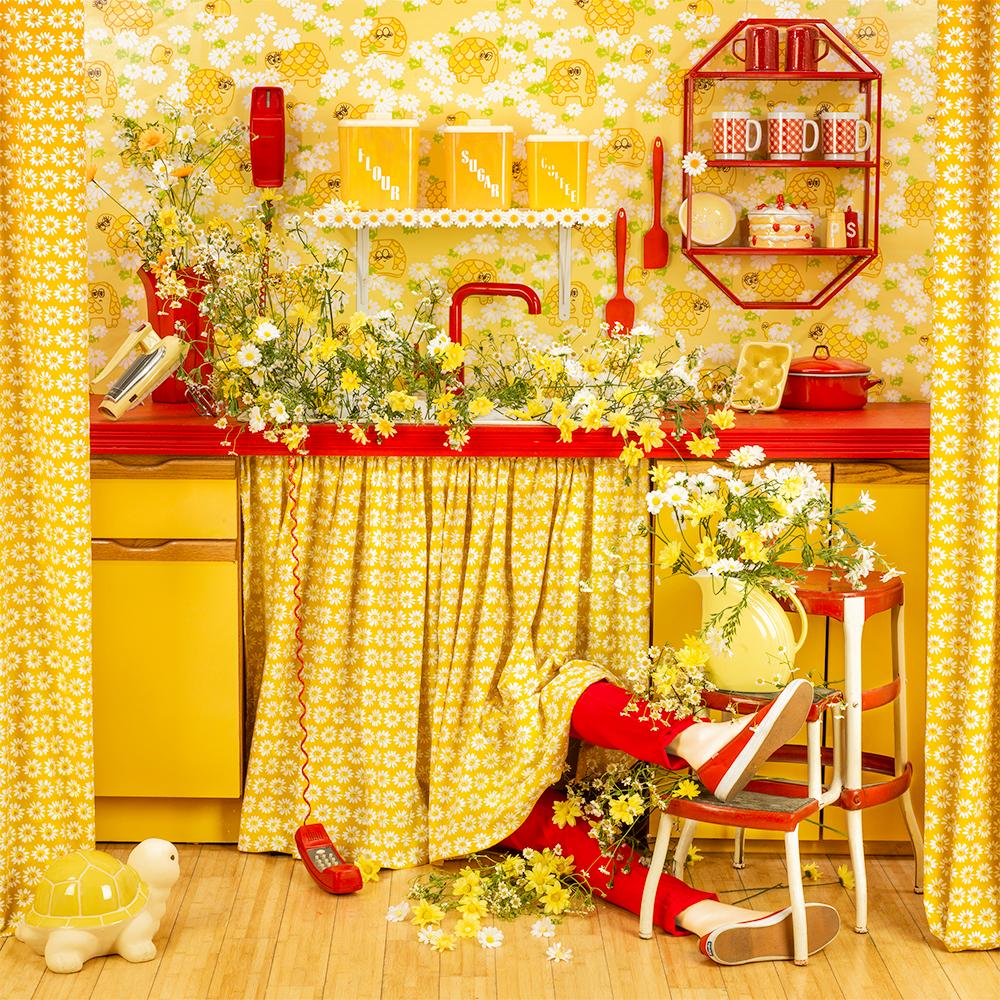Patty Carroll Still-Life Photograph – Pushing Daisies