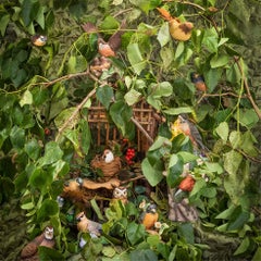 Real Leaves, from the series Flora and Fauxna - Birds, Still Life