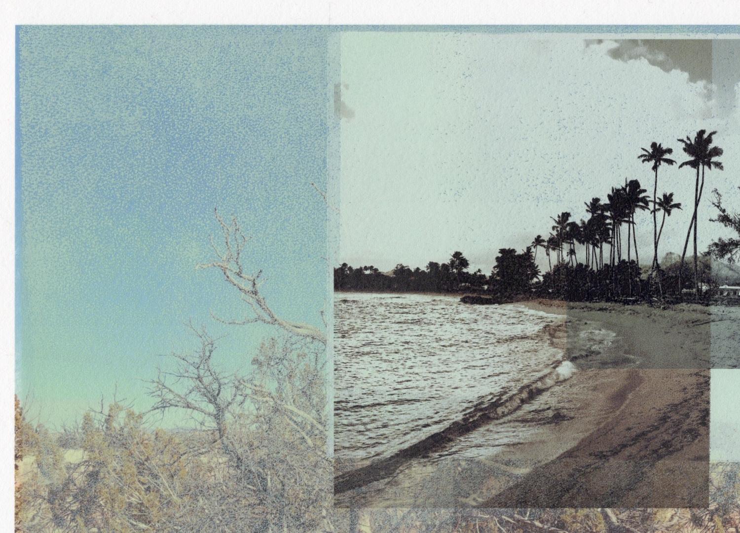 Patty deGrandpre’s “Landlocked (Palm Trees)” is an 11 x 16.5 inch unique abstract mixed media print represented on Awagami Bamboo Japanese paper utilizing both printmaking and creative photography. The artist’s recent relocation from coastal