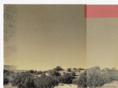 "Landlocked (Seagull)", contemporary, landscape, mixed media, print