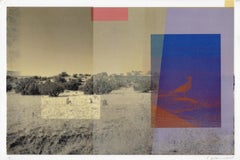 "Landlocked (Seagull)", contemporary, landscape, mixed media, print