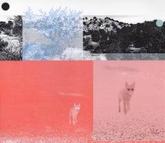 "Sighting (Coyote Pink)", Contemporary, Abstract, Landscape, Mixed Media Print