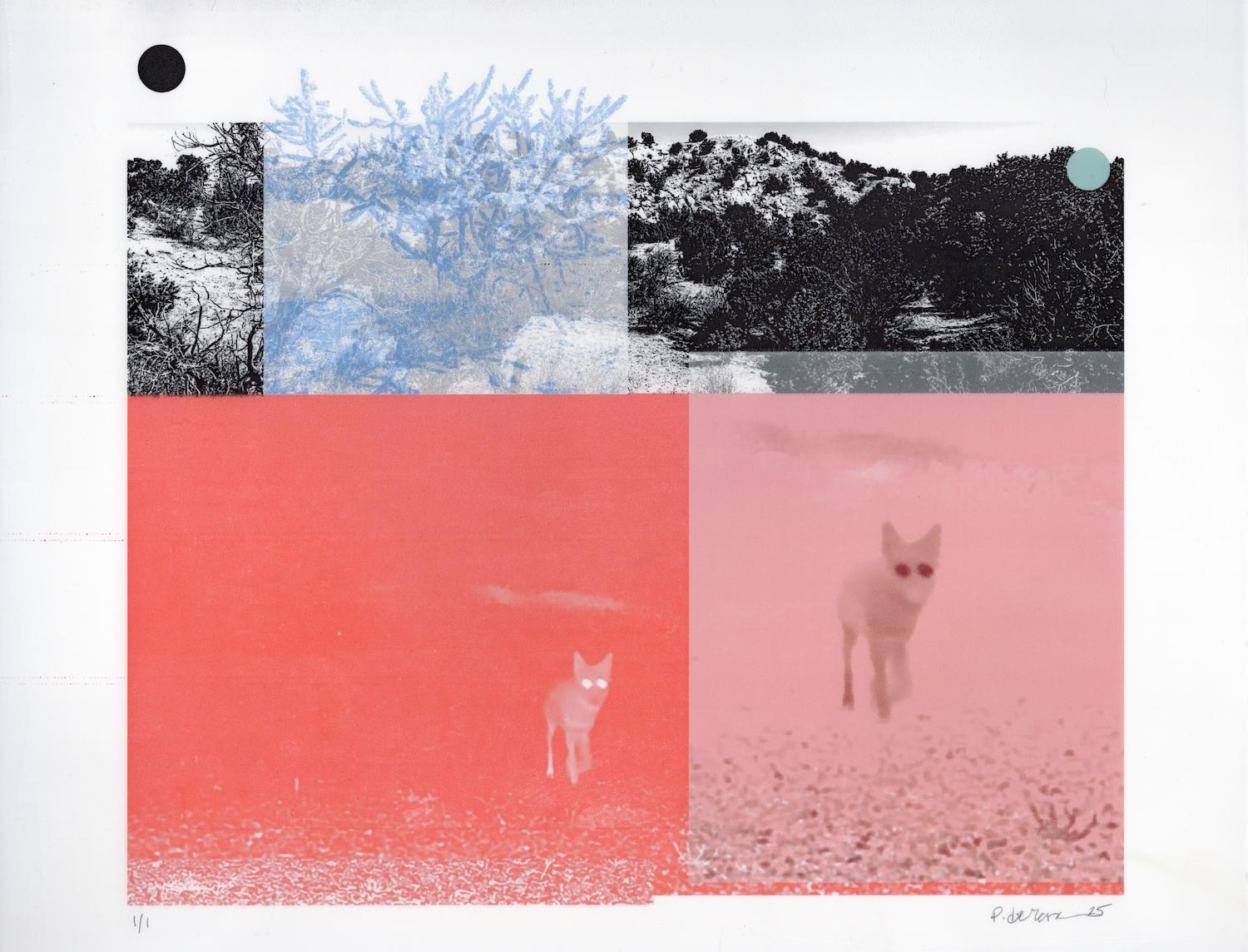 "Sighting (Coyote Pink)", Contemporary, Abstract, Landscape, Mixed Media Print - Mixed Media Art by Patty deGrandpre