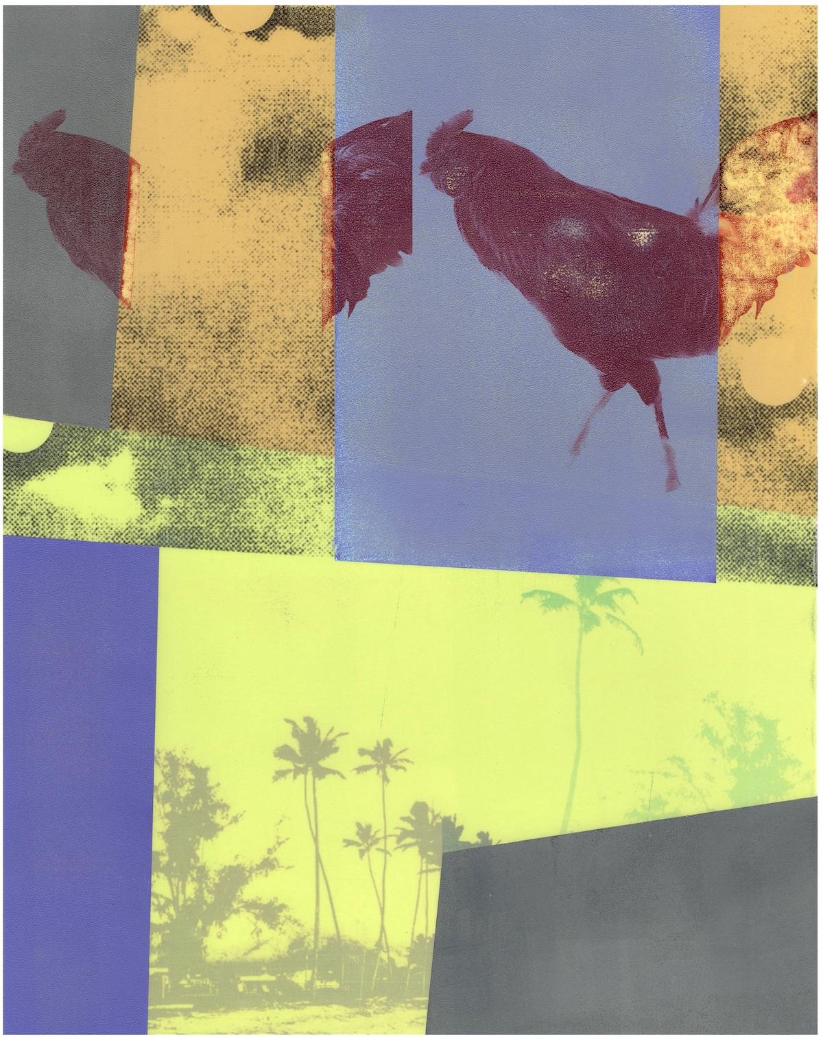 "Two Roosters Running Amok on Poipu Beach", Contemporary Mixed Media Print, 2022 - Mixed Media Art by Patty deGrandpre