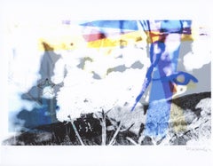 "Fiori appena tagliati", Paesaggio contemporaneo, Forbici, Blu, Bianco, Stampa, 2019