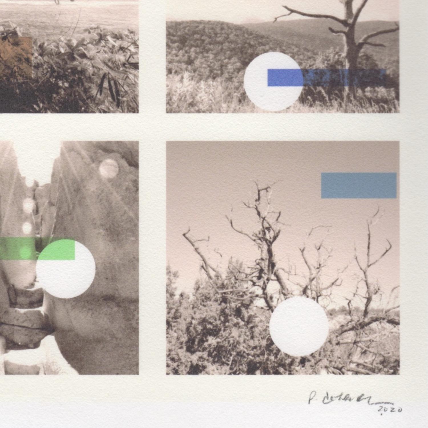 „Get it While it Lasts“, Abstrakte Landschaft, Bäume, Ozean, Sepia, Druck, 2020 – Print von Patty deGrandpre