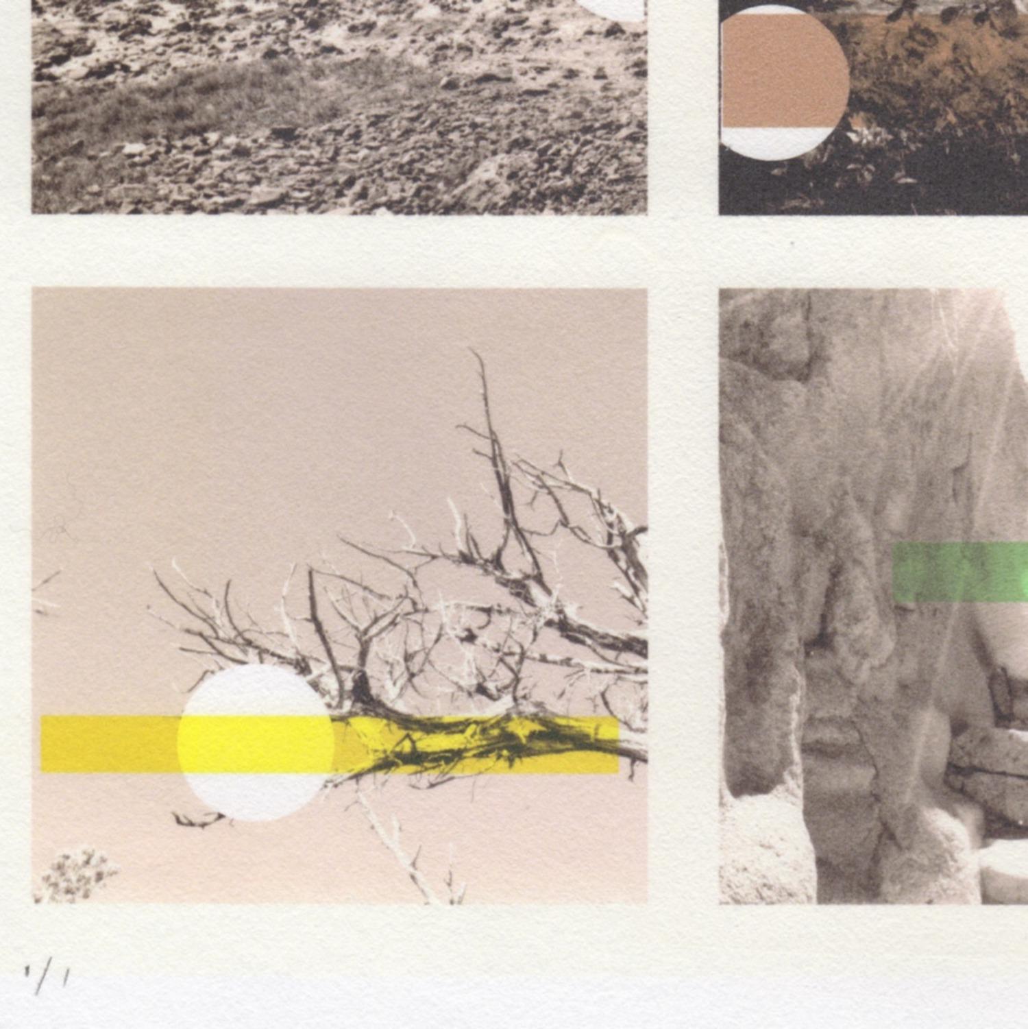 „Get it While it Lasts“, Abstrakte Landschaft, Bäume, Ozean, Sepia, Druck, 2020 (Zeitgenössisch), Print, von Patty deGrandpre