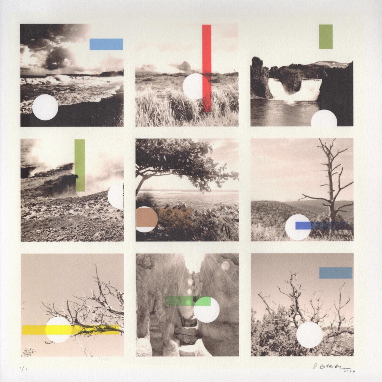 Patty deGrandpre Landscape Print – „Get it While it Lasts“, Abstrakte Landschaft, Bäume, Ozean, Sepia, Druck, 2020