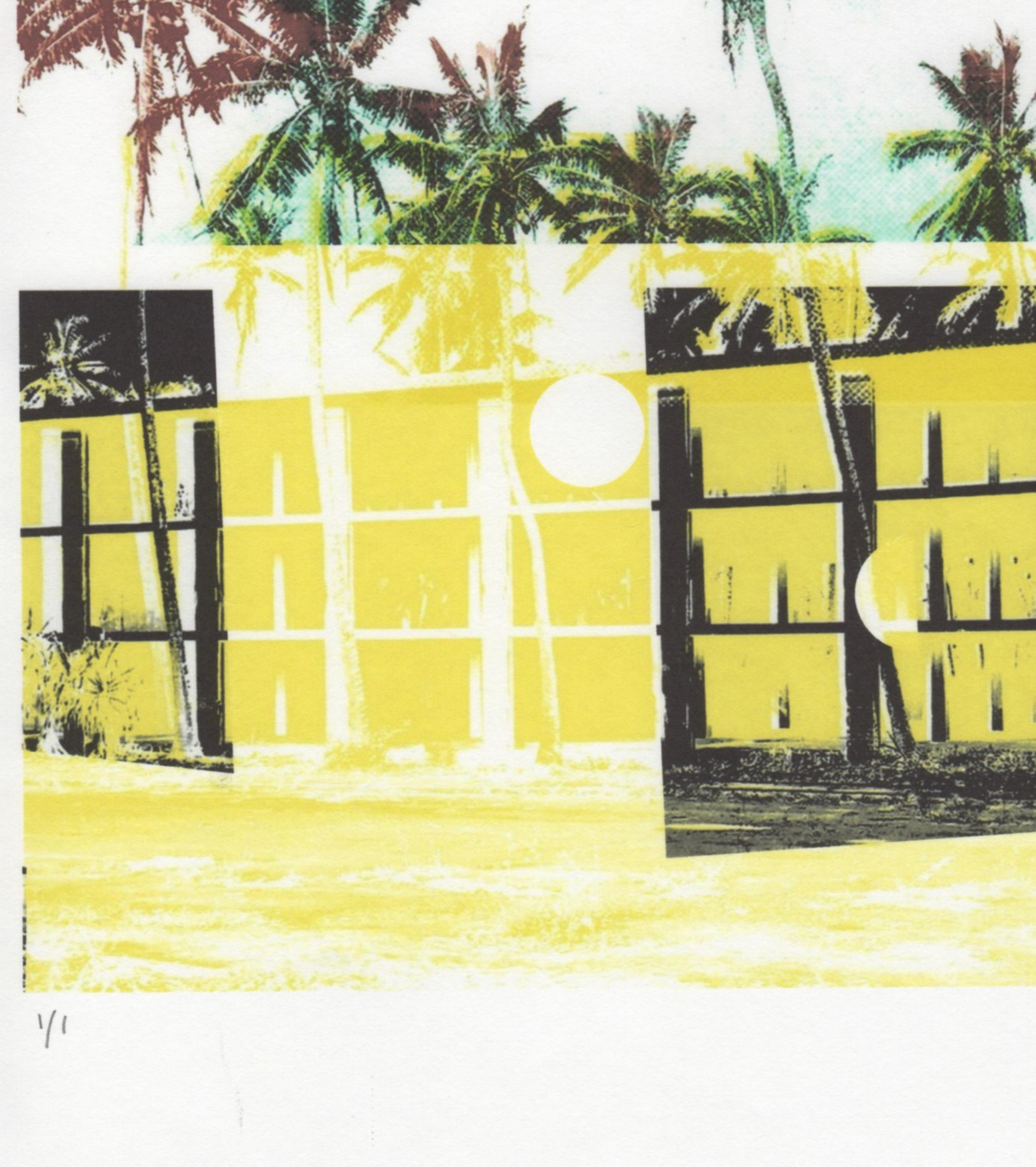 Cropped and double exposed images of palm trees, ocean views, Hawaiian Island scenery, and the facade of an abandoned Hawaiian hotel are represented on 14 x 11 inch Awagami Kozo Japanese paper in Patty deGrandpre’s contemporary abstract monoprint