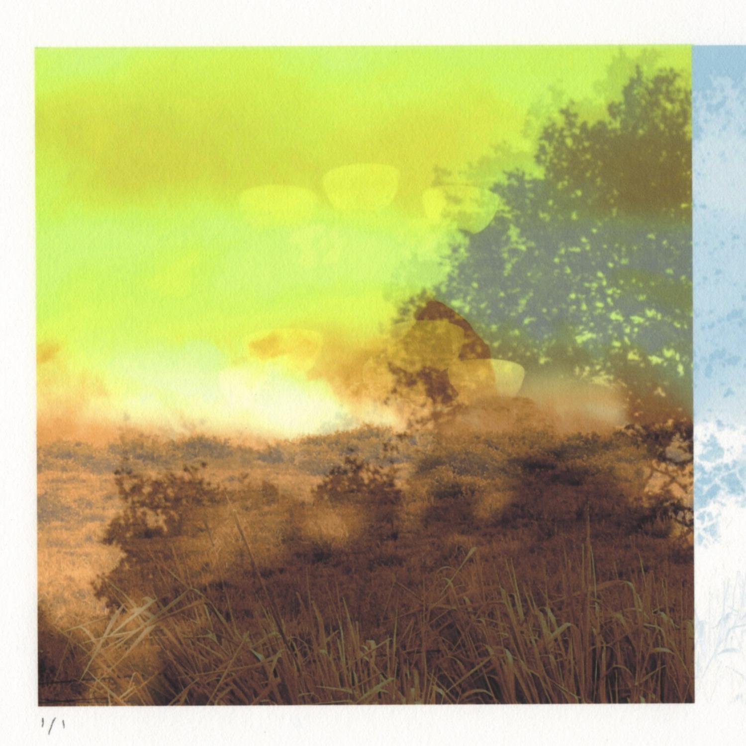« Outside In », abstrait, arbre, paysage, chaise, vert, sépia, bleu, photo, impression - Print de Patty deGrandpre