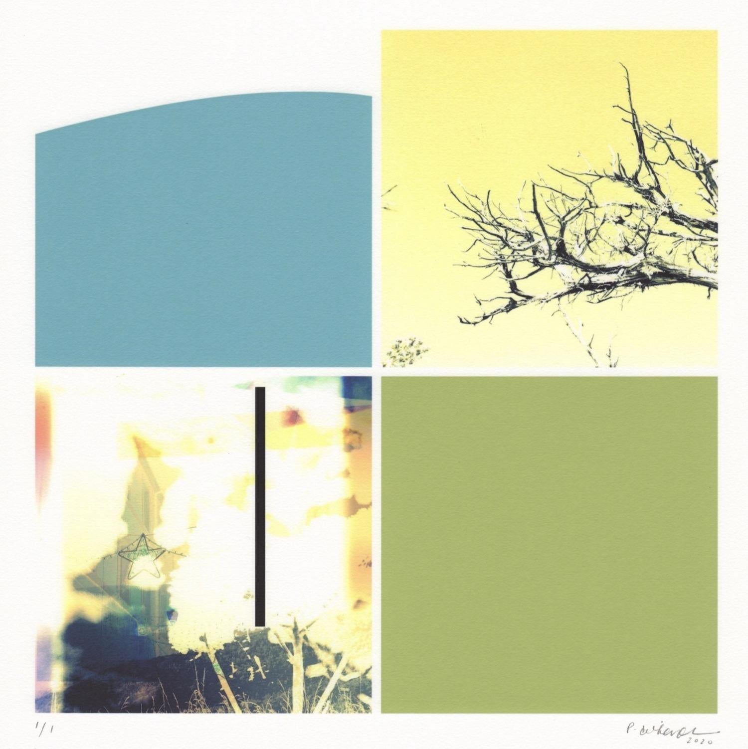 Patty deGrandpre Abstract Print - "Substance of Form and Landscape", abstract, photography, green, blue, yellow