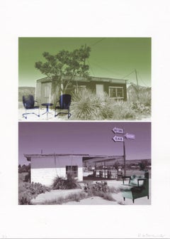 "Vacated but Longing to Find (Texas green and purple)", Landscape, Photography