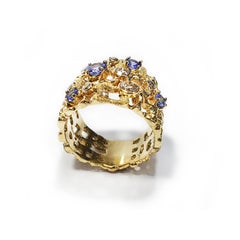 Paul Amey Kleidring aus 18 Karat Gold, Diamant und Tansanit