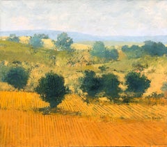 Valley in Summer