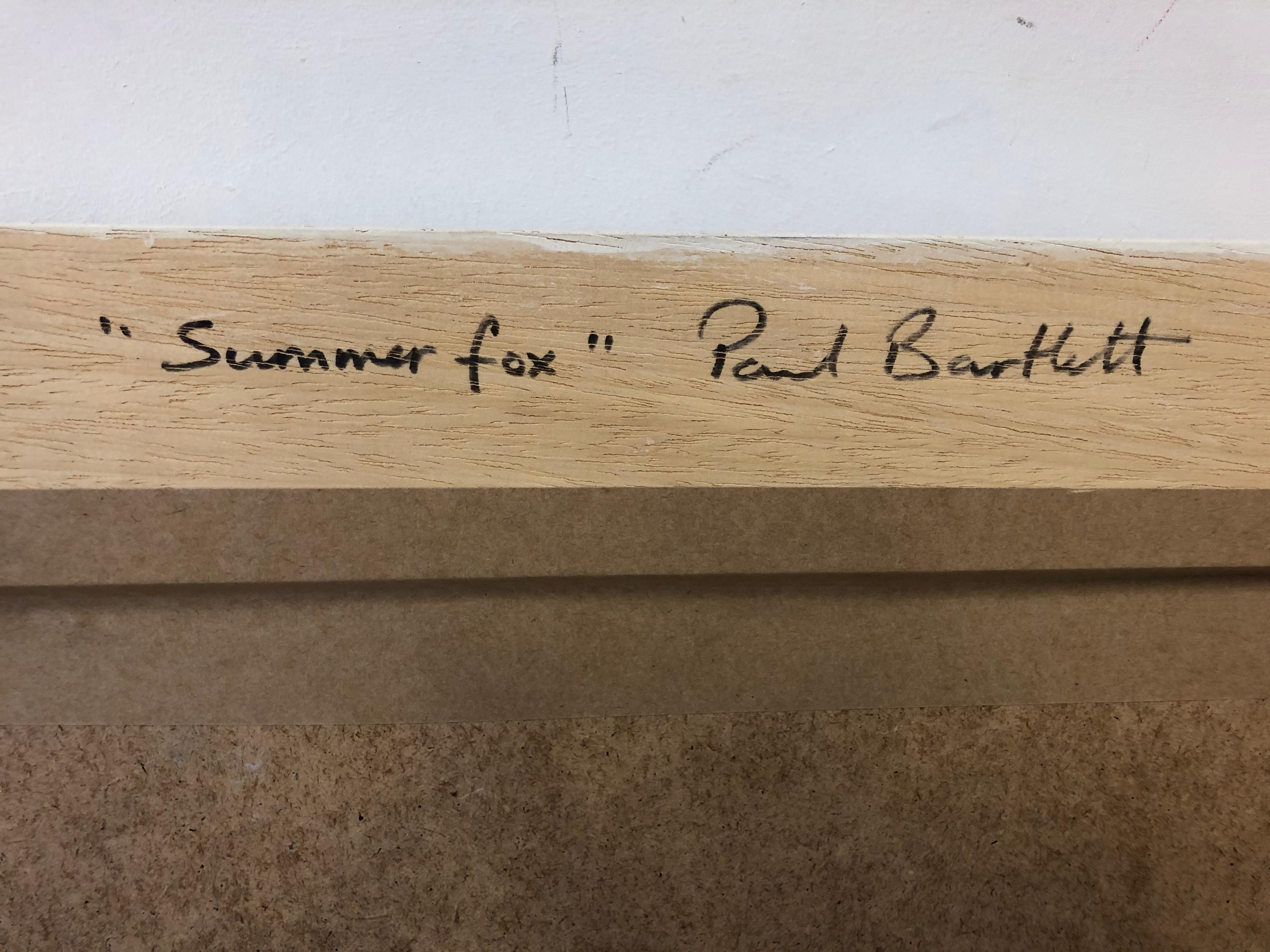 Summer Fox 4