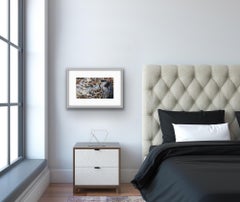 Stillness, Heron Bird Art, Animal Conservation Artwork, Collage Art