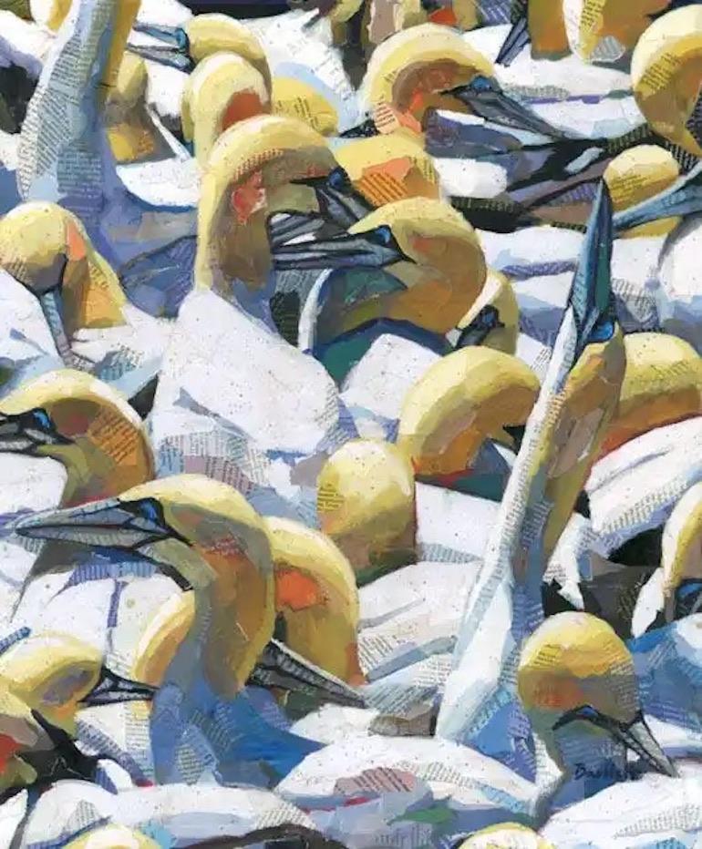 Gannets on the Bass Rock von Paul Bartlett, Vogelkunst, Druck in limitierter Auflage