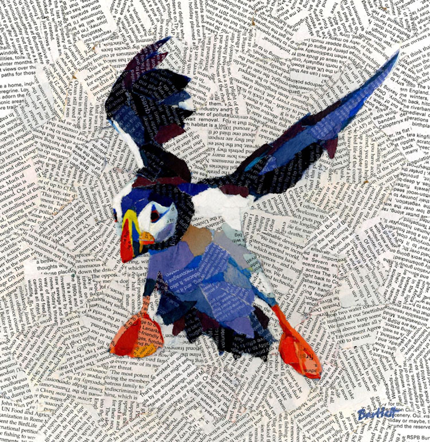 Puffin landing and The Arrival - Gray Animal Print by Paul Bartlett