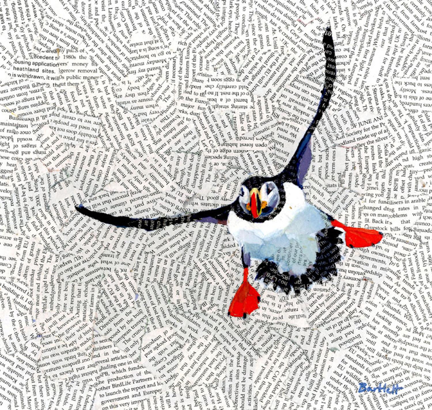 Overal Size: H85 x W86.5

Paul Bartlett. Puffin landing. Puffin Print

A puffin comes in to land, wings and feet outstretched to slow its descent. Paul Bartlett is a highly acclaimed artist who has won many awards for his original depictions of