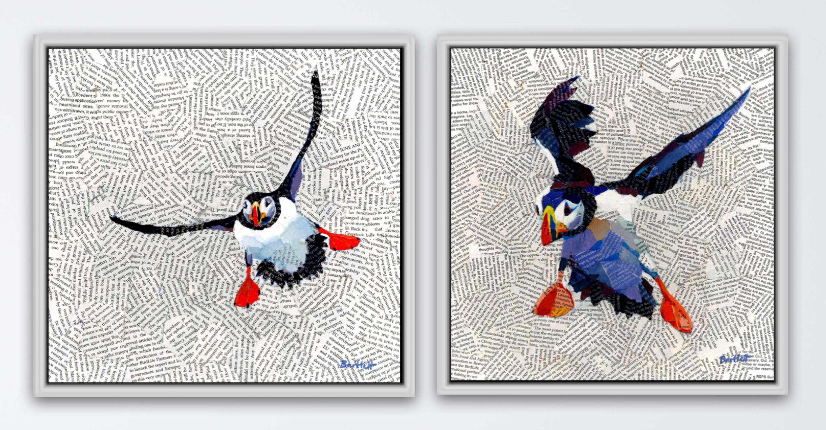 Paul Bartlett Animal Print - Puffin landing and The Arrival