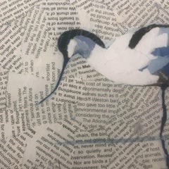 Reflective Avocet by Paul Bartlett, Bird Art, Animal Art, Limited Edition Print
