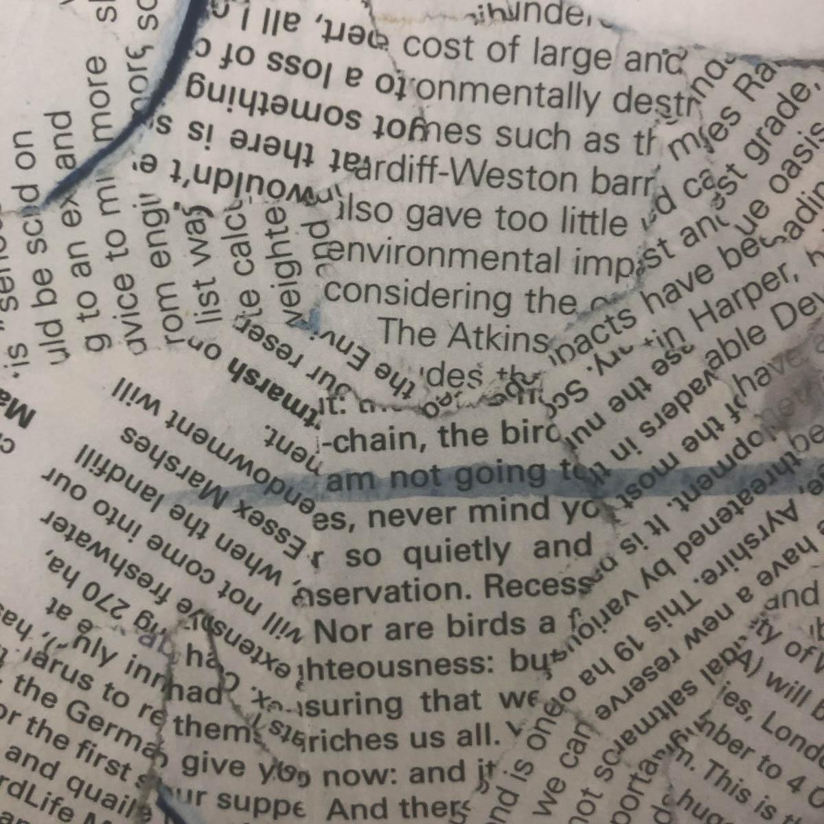 Avocetta riflettente di Paul Bartlett, Arte degli uccelli, Arte degli animali, Stampa in edizione limitata in vendita 7
