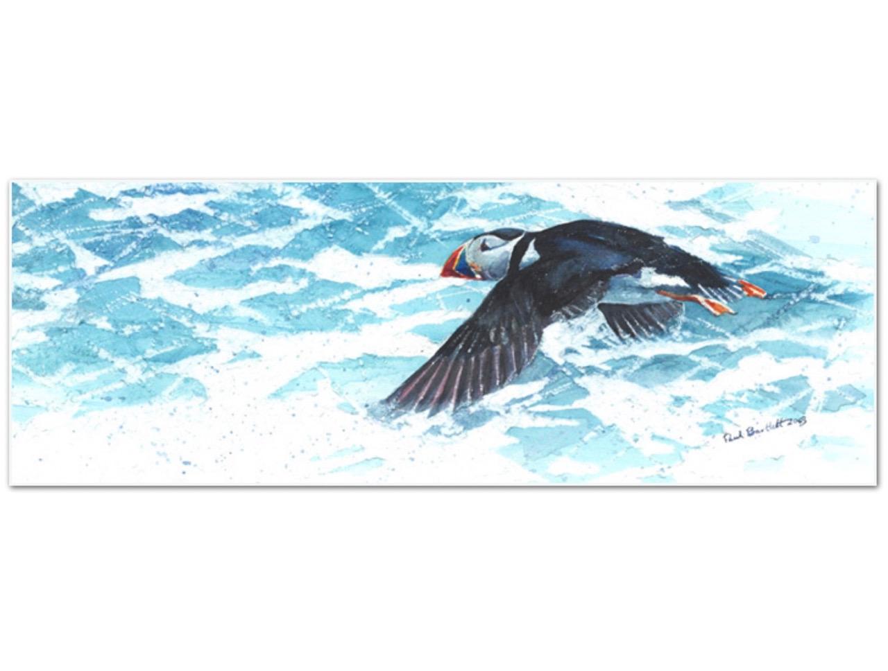 Paul Bartlett is a highly acclaimed artist who has won many awards for his original depictions of nature which inform and educate the viewer on conservation issues. 

Solitary Puffin is a small print featuring a Puffin peacefully flying over the