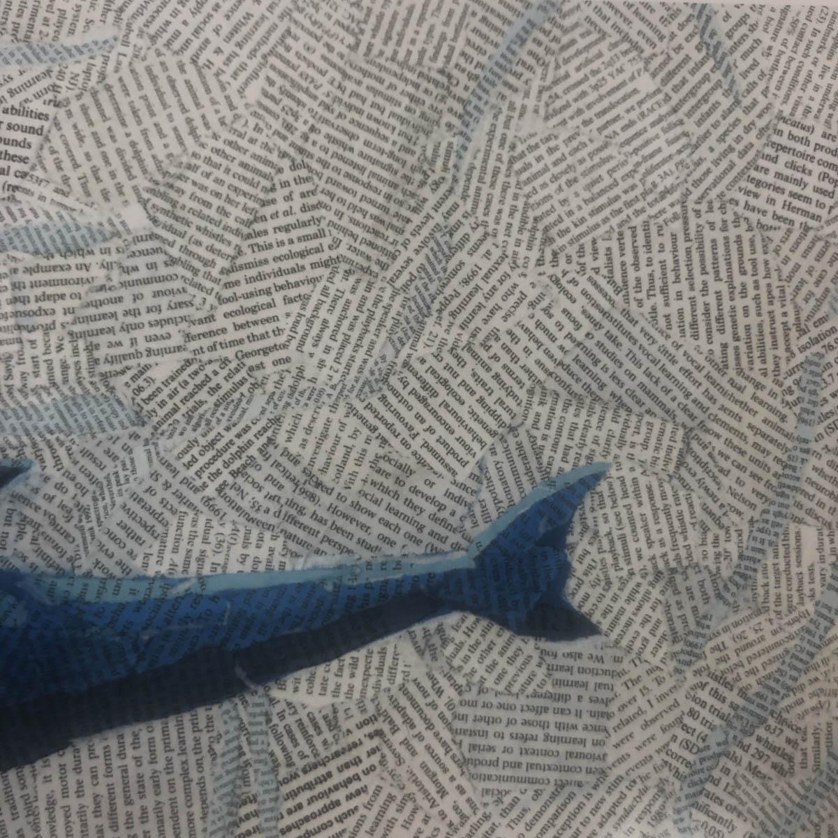 Whistlers par PAUL BARTLETT, Art animalier, impression en édition limitée, art de dauphin en vente 4
